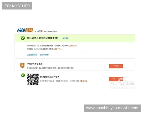 威廉体育正规官网支持多种支付方式,快速存取款便捷无忧 威廉体育正规官网支持多种支付方式,快速存取款便捷无忧